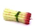CANDELA ASPARAGI